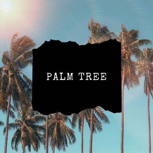 Beat Amusement - Palm Tree [PLMT0001]